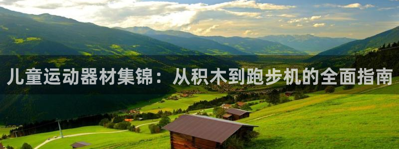 zoty中欧体育官方正版app集团简介:儿童运动器材集锦:从