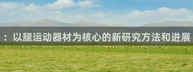 zoty中欧体育官方正版app娱乐代理怎么样::以腿运动器材