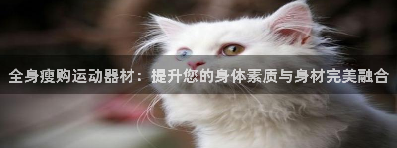 zoty中欧体育官网下载娱乐:全身瘦购运动器材:提升您的身体