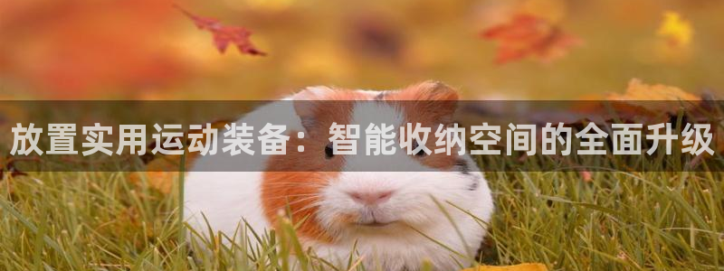 zoty中欧体育官网下载注册:放置实用运动装备:智能收纳空间